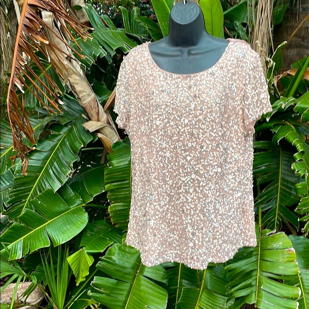 Adriana, pale pink and silver sequin top